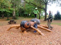 a group of children play on a wooden spider in a wooded area