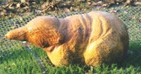 a wooden statue of a bear in the grass