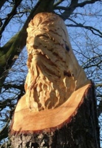 a tree trunk with a carving of a man's head