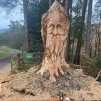 a man carving a tree in the woods