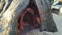 a tree house made from a tree stump