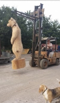 a large teddy bear being lifted by a forklift