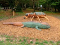 a wooden sculpture of a lizard and a frog in a park