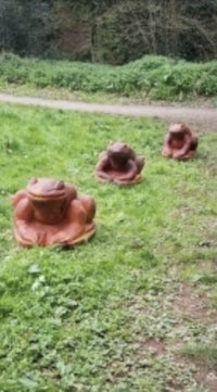 a group of frogs sitting in a grassy area