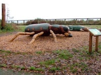 a wooden sculpture of a beetle in a wooded area