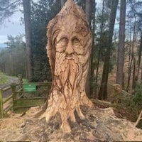 a carving of a tree with a face on it