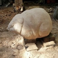 a wooden sculpture of a kangaroo sitting on top of a block of wood