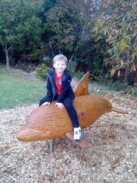 a young boy sitting on a wooden dolphin