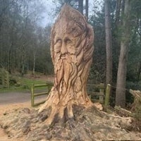 a tree stump with a carving of a man's face